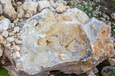 Dense rock of limestone in a stone quarry for the extraction of crushed stone. Kaluga region, Russia