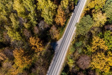 Aerial view of the road going through the autumn forest
