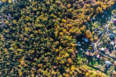 Summer cottage village surrounded by forest, aerial view. Small summer houses in a beautiful area