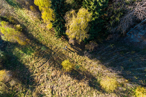 Small silhouette of a man in the middle of a forest area, aerial view
