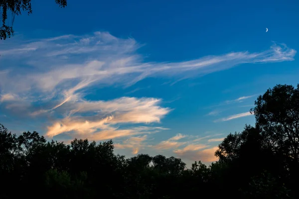 Білі Кругові Хмари Фоні Блакитного Неба — стокове фото
