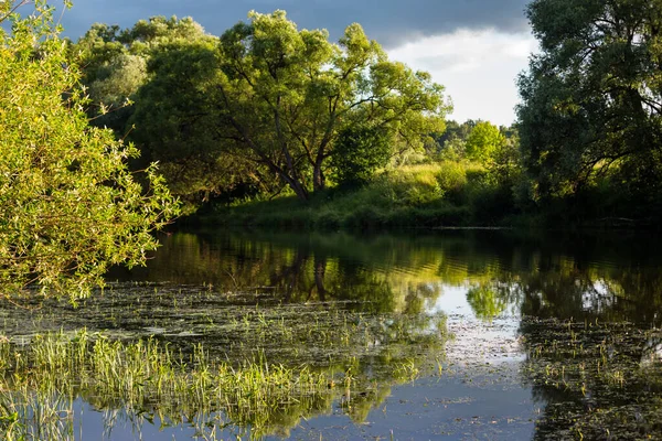 Colorido Paisaje Fluvial Día Verano Ribera Inundada Algas — Foto de Stock