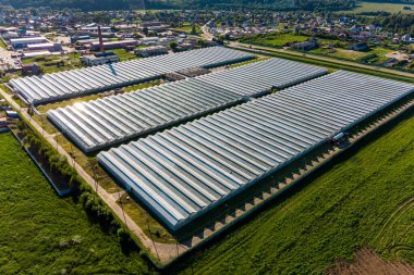 Sebze yetiştirmek için büyük bir sera kompleksi, hava manzarası