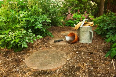 orman yolu üzerindeki araçları ayarlayabilir ve Bahçe için hazır