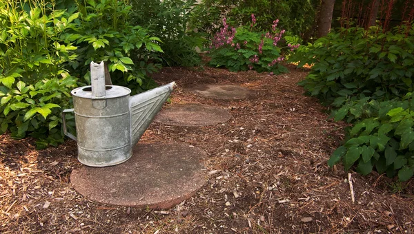 Старая банка для полива сидит на тропинке в саду — стоковое фото