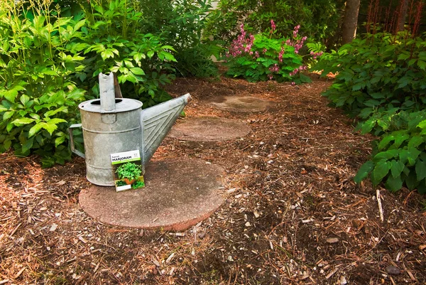 Un annaffiatoio indossato si siede con un pacchetto di semi di maggiorana su un giardino — Foto Stock