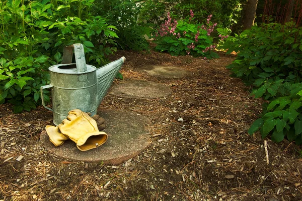 Un vecchio annaffiatoio e guanti siedono su un Sentiero del Giardino nel Bosco Immagine Stock