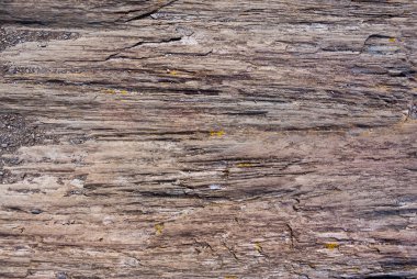 Closeup aşınmış kaya