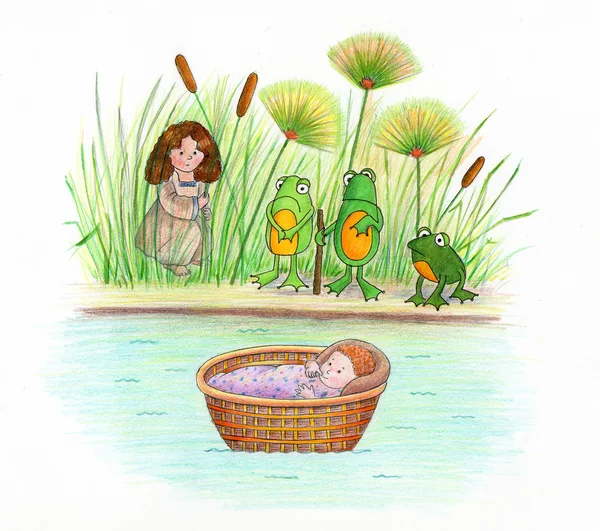 egg moses basket