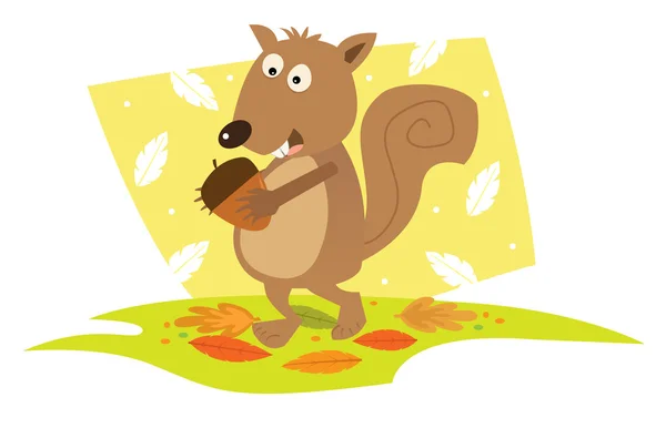 Aranyos mókus — Stock Vector