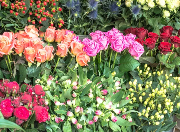 Exhibición de la floristería (2 ) —  Fotos de Stock