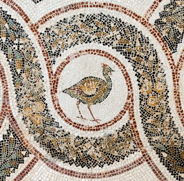 Mosaico romano (3 ) — Foto de Stock