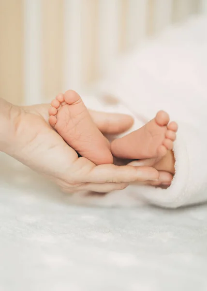 Mor håller nyfödda babys fötter i handen. Vertikal inriktning — Stockfoto