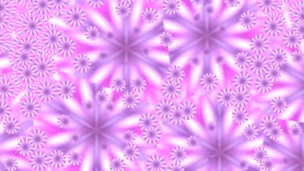 Pink flowers in mirror splinters — Stock Video