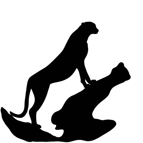 Силуэт Гепарда Чёрная Иллюстрация Африканского Хищника Родственник Льва Кота Тигра — стоковое фото