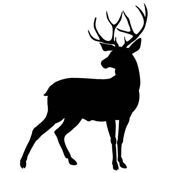 Sagoma Cervo Una Bestia Cornuta Della Foresta Alce Caribù Antilope — Foto Stock