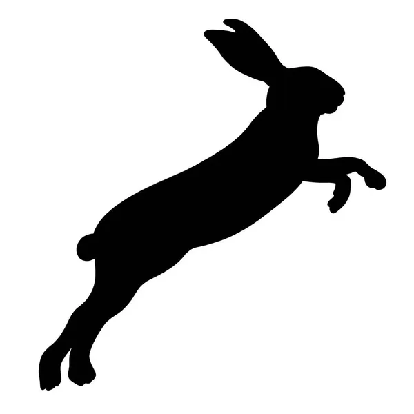 Het Silhouet Van Een Konijn Haas Bunny Een Witte Achtergrond — Stockfoto