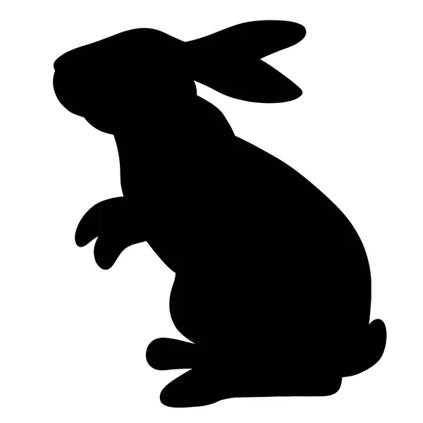 Silueta Králíka Nebo Zajíce Bunny Bílém Pozadí Dlouhoušatý Hlodavec Farmy — Stock fotografie