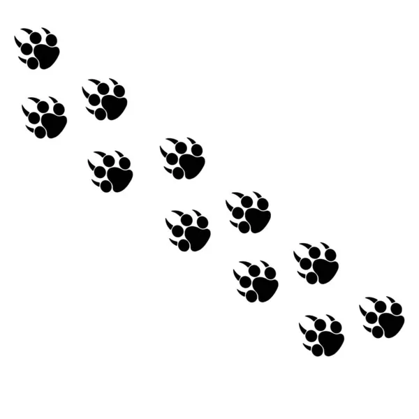 Footprints Steps Big Cat Panther Tiger Traces — Stock Photo, Image