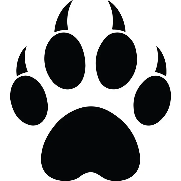 Ayak izleri ya da büyük bir kedinin ayak izleri. Panter ya da kaplan izleri.