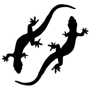 Kertenkele ya da semender siluetleri. Sürüngenlerin, ejderhaların, kertenkelelerin ve iguanaların resimleri. Teraryum hayvan dövmesi.