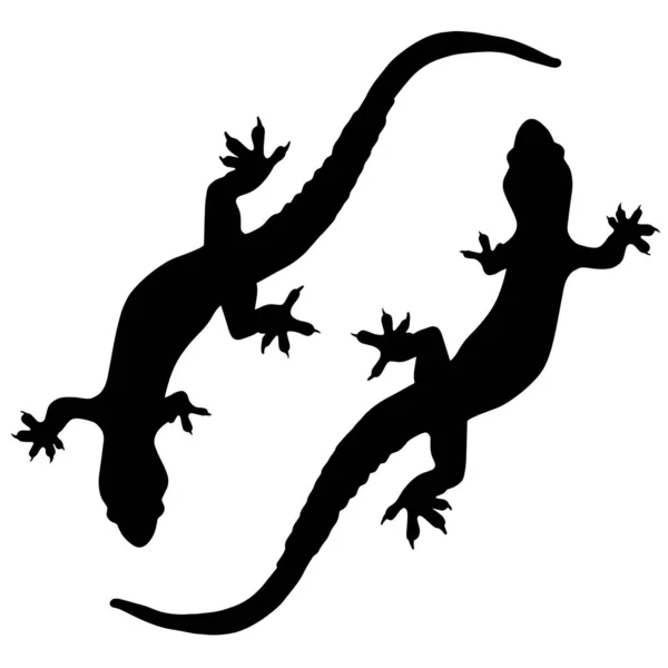 Siluety Ještěrek Nebo Salamandrů Ilustrace Plazů Příbuzných Draků Gekonů Leguánů — Stock fotografie