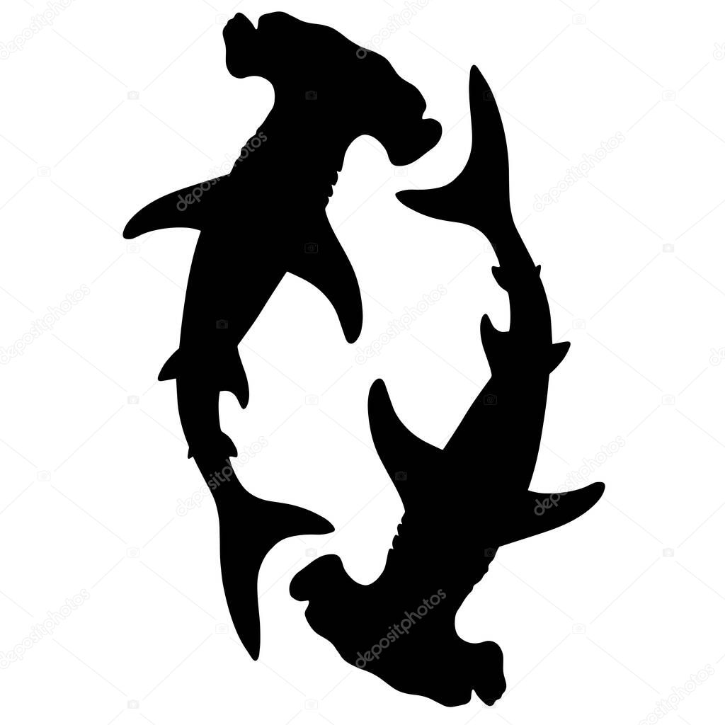 Black and white illustration of shark. Silhouette of a sea monster. Terrible bloodthirsty predator. A monster of the ocean depths. A symbol of aggression and anger. Angry fish with big teeth