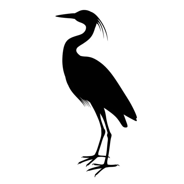 Svart Siluett Häger Vattenfågel Släkting Till Storken Och Kranen Illustration — Stockfoto