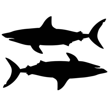 Köpekbalığının siyah beyaz çizimi. Bir deniz canavarının silueti. Korkunç kana susamış yırtıcı. Okyanusun derinliklerinde bir canavar.