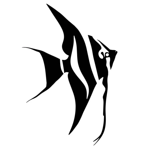 Ilustrace Skaláru Akvarijní Tropické Ryby Zvíře Řeky Nebo Jezera — Stock fotografie