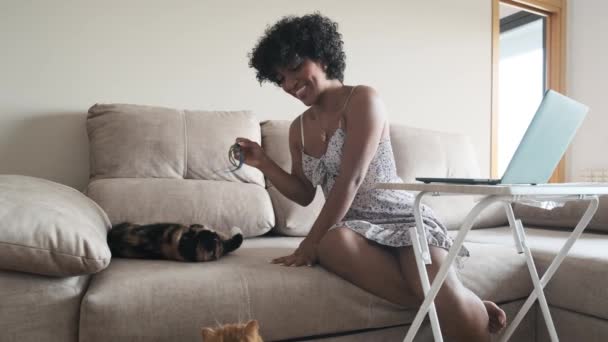自宅で仕事を休んでいる間に猫と遊んで楽しんでいるトランスジェンダーの女性 テクノロジー ホームオフィス ペットのコンセプト — ストック動画