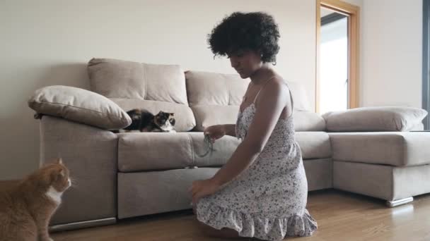Mujer Transgénero Disfrutando Jugando Con Sus Gatos Mientras Relaja Casa — Vídeos de Stock