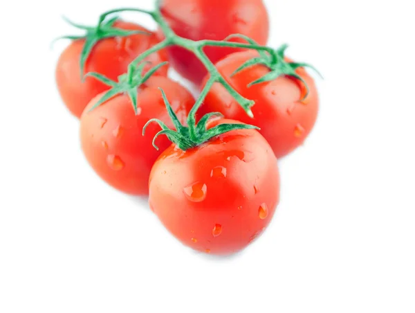 Wiśniowe pomidory na oddział z kropli na białym tle — Zdjęcie stockowe