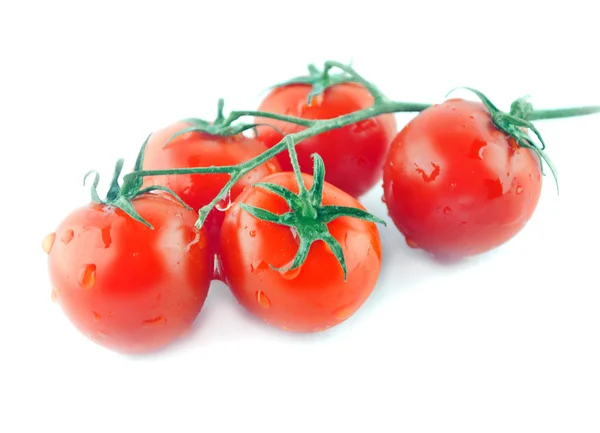 Tomates de cereja em um ramo com baixas isoladas no branco — Fotografia de Stock