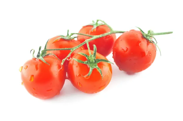 Verse tomaten geïsoleerd op een witte achtergrond — Stockfoto