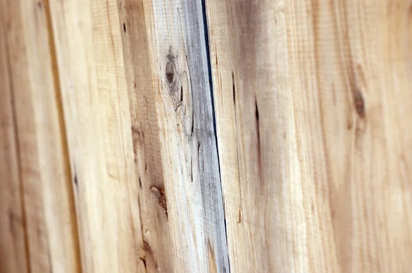 Texture de la planche en bois — Photo