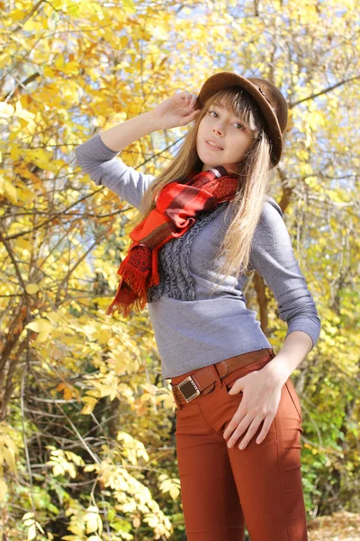 Atractiva joven posando en el parque de otoño — Foto de Stock