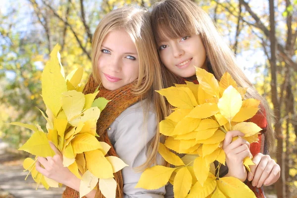 Retrato de otoño de una joven sosteniendo un manojo de hojas de arce amarillo — Foto de Stock