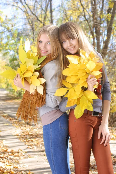 Δύο κορίτσι στέκεται με ένα μάτσο Φύλλα σφενδάμου κίτρινο — Φωτογραφία Αρχείου