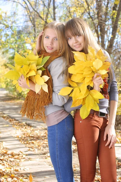 Dos chicas de pie con un montón de hojas de arce amarillo —  Fotos de Stock