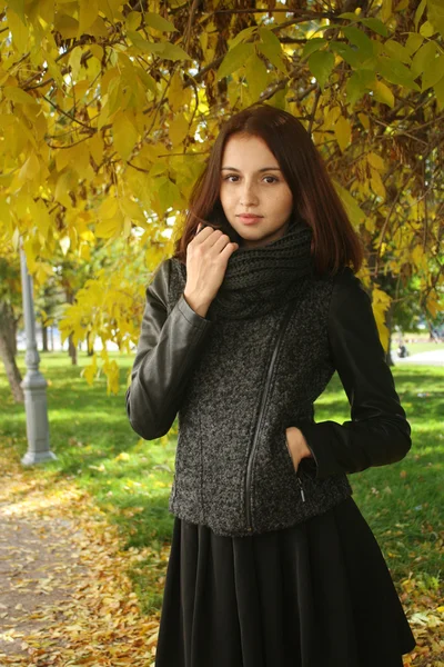 Mujer joven con estilo en vestido negro en el parque de otoño —  Fotos de Stock