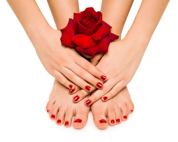 Hermosa manicura y pedicura con una rosa —  Fotos de Stock