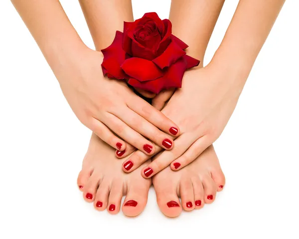 Krásná manikúru a pedikúru s růží Stock Obrázky