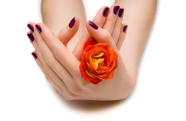 Belle manicure — Foto Stock