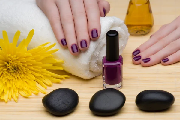 Beautiful manicures — Stock Photo, Image