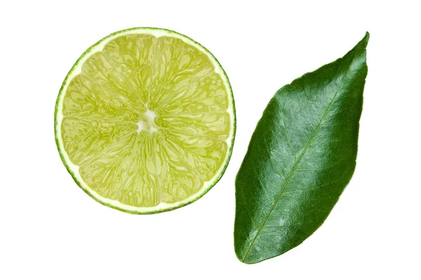 Mint with a piece of lime — Stock Photo, Image