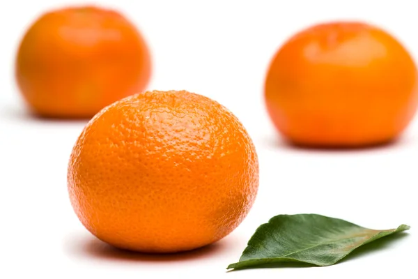 Tangerines και φύλλων — Φωτογραφία Αρχείου