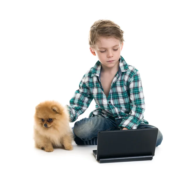 Boy with laptop and dog isolated on white background — Stock Photo, Image