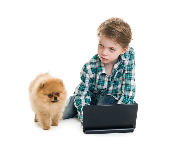 Boy with laptop and dog isolated on white background — Stock Photo, Image