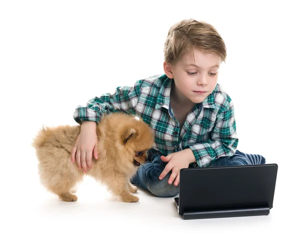 Boy with laptop and dog isolated on white background — Stock Photo, Image